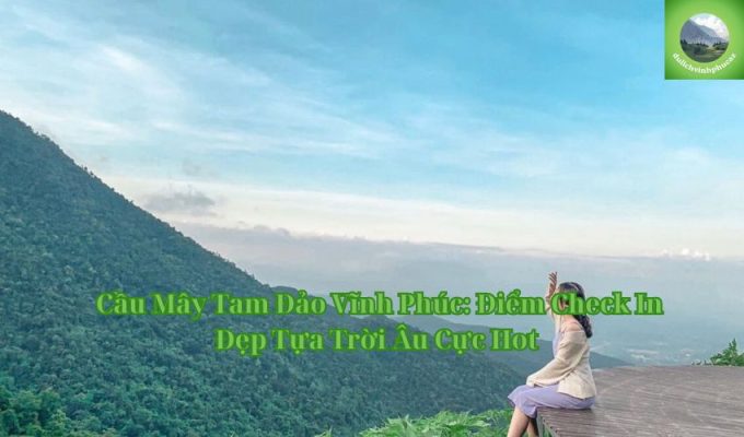 Cầu Mây Tam Đảo Vĩnh Phúc: Điểm Check In Đẹp Tựa Trời Âu Cực Hot 