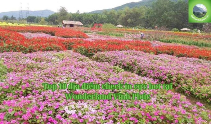 Top 10 địa điểm check in cực hot tại Wonderland Vĩnh Phúc