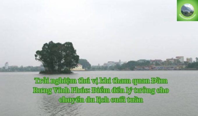 Trải nghiệm thú vị khi tham quan Đầm Rưng Vĩnh Phúc: Điểm đến lý tưởng cho chuyến du lịch cuối tuần